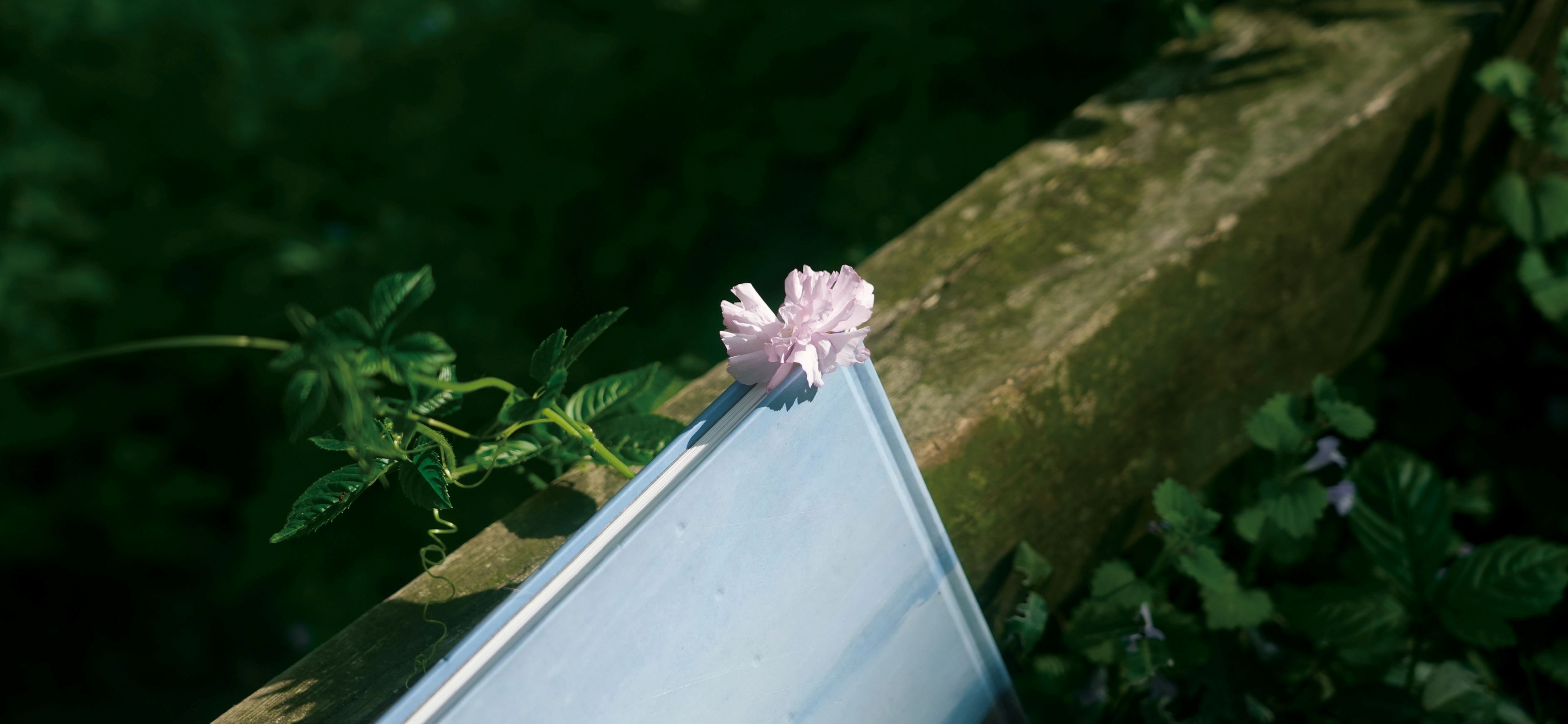 欢迎关注我们Yutu社区-Yutu社区-壁纸-资源-4K壁纸-4K高清壁纸-4K电脑壁纸-双屏壁纸-壁纸写真合集Yutu社区