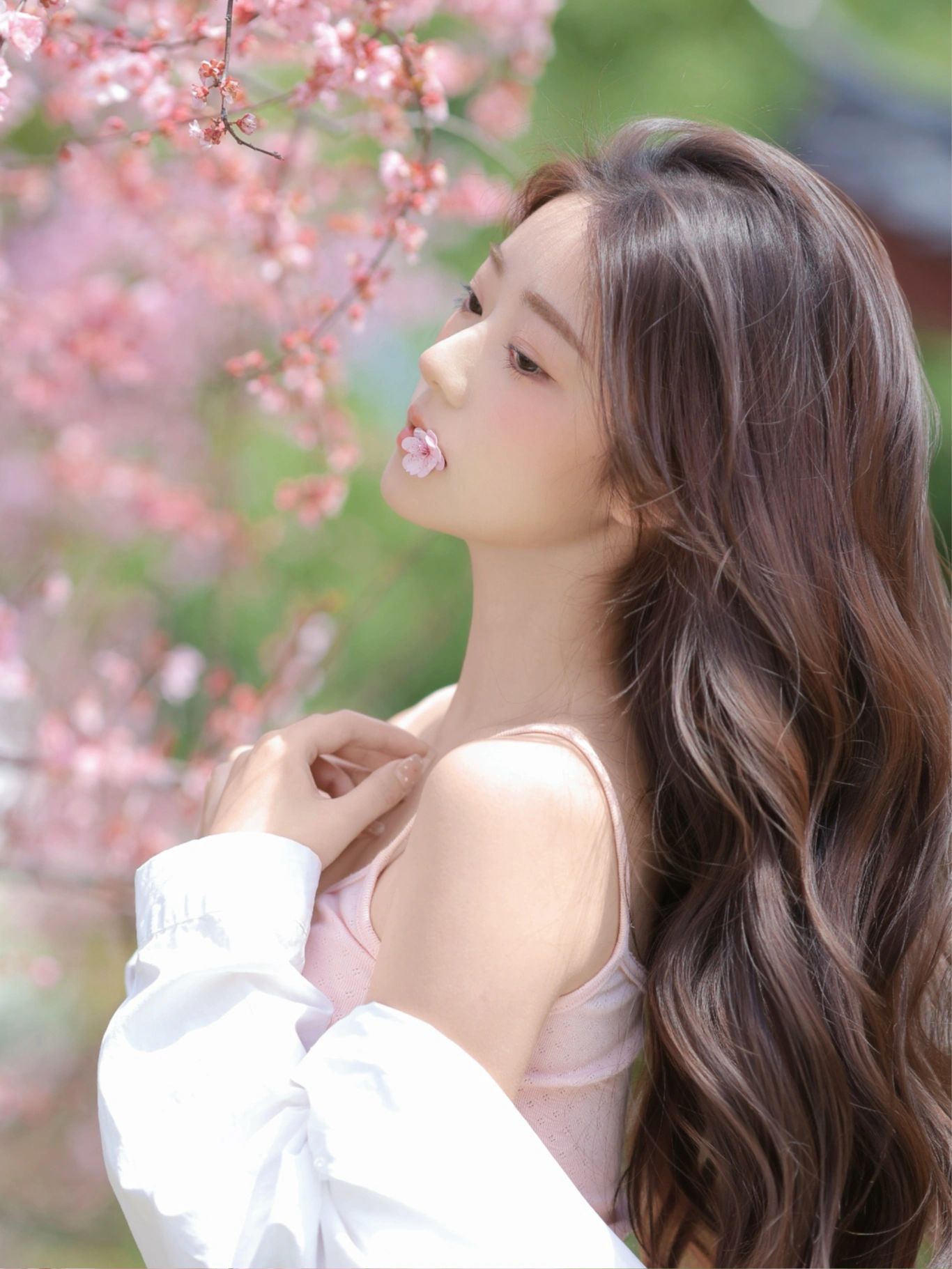 2025-03-23_17.01.49_左点儿儿_如沐春风的温柔樱桃花季_1.jpg