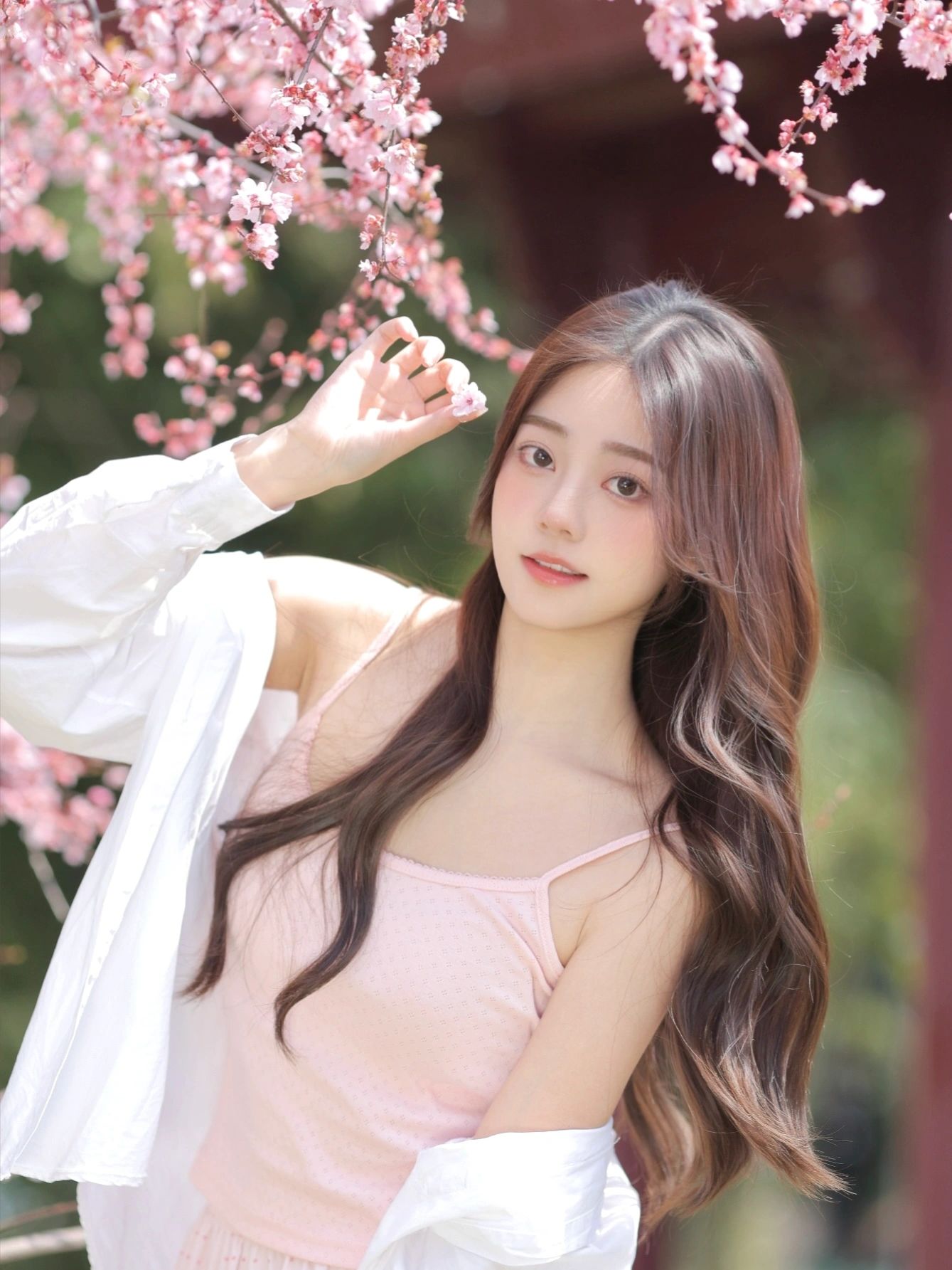 2025-03-23_17.01.49_左点儿儿_如沐春风的温柔樱桃花季_4.jpg