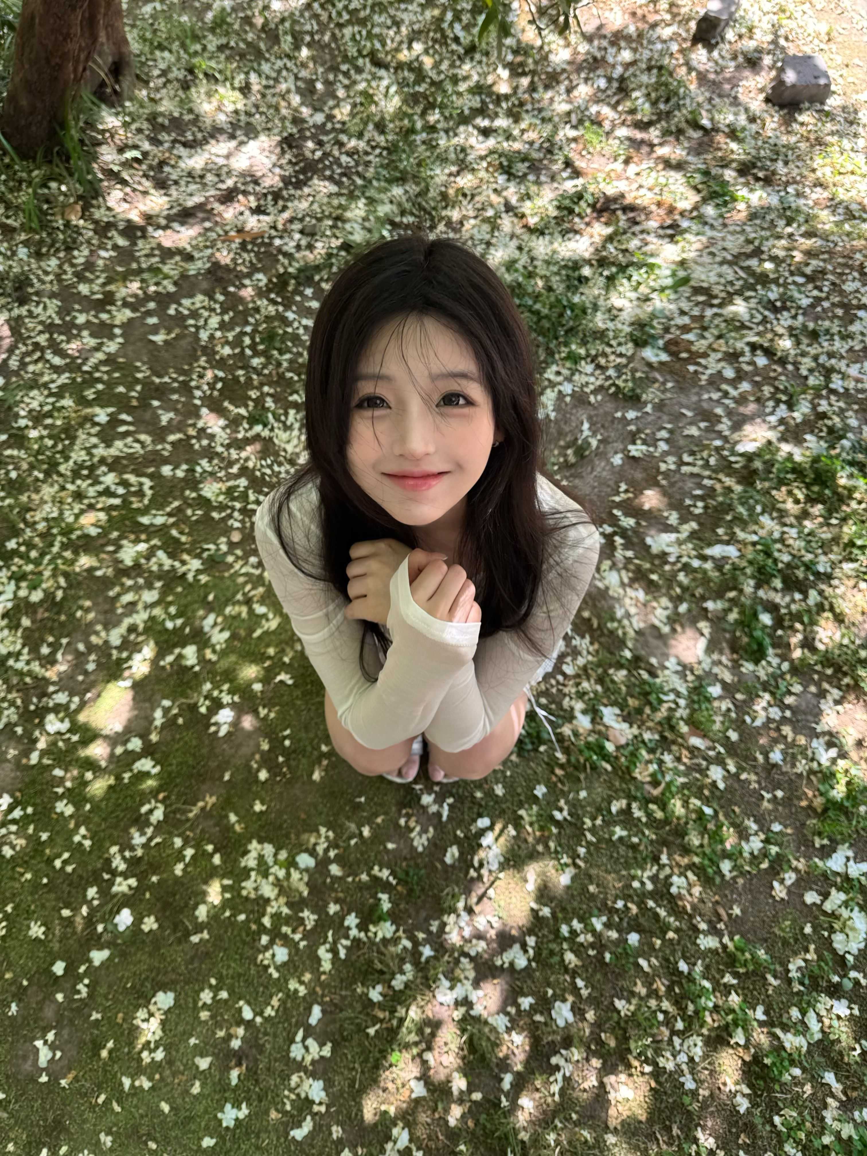 2025-04-26_18.24.32_林林酱_博物苑木绣球_4.jpg 2025-04-26_18.24.32_林林酱_博物苑木绣球_4.jpg